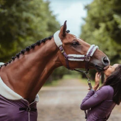 Deken Equestrian Stockholm Orchid Bloom Paars 5 Deken Equestrian Stockholm Orchid Bloom Paars -Default Template 3 deken equestrian stockholm orchid bloom paars 1500x1500 147472