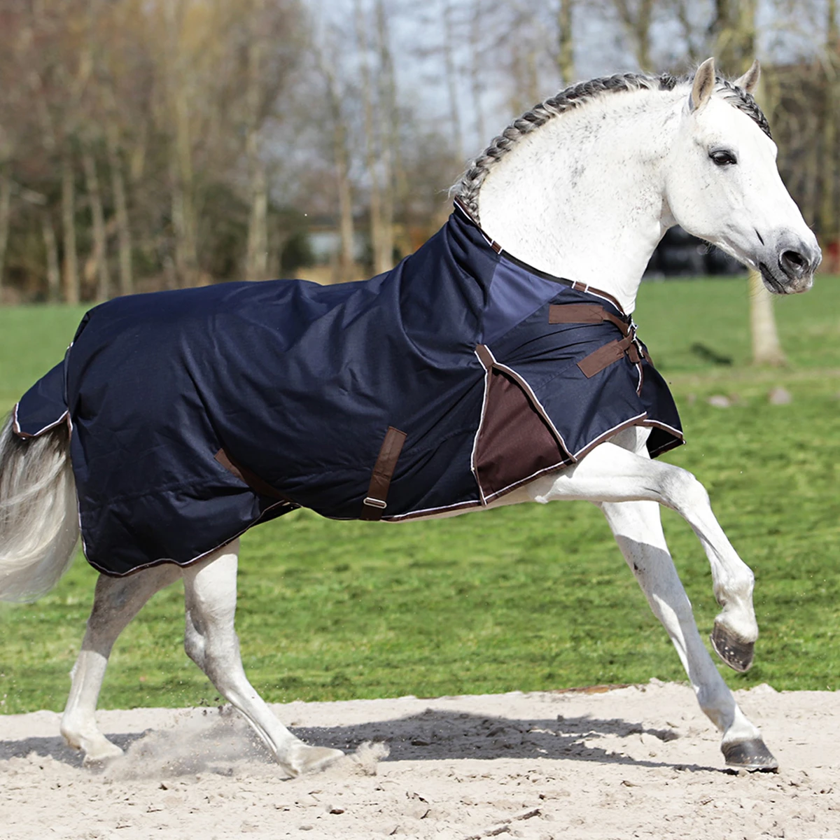 Deken Horsegear Aquero 0gr Donkerblauw-donkerbruin 6 Deken Horsegear Aquero 0gr Donkerblauw-donkerbruin - Afbeelding 6