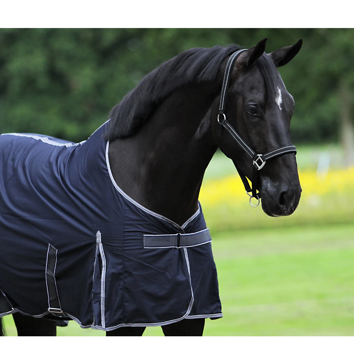 Deken Horsegear Cooler Thin Donkerblauw 4 Deken Horsegear Cooler Thin Donkerblauw - Afbeelding 4