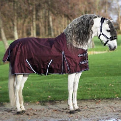 Deken Horsegear Extreme 300gr Paars 9 Deken Horsegear Extreme 300gr Paars -Default Template 3 deken horsegear extreme 300gr paars 1500x1500 125811