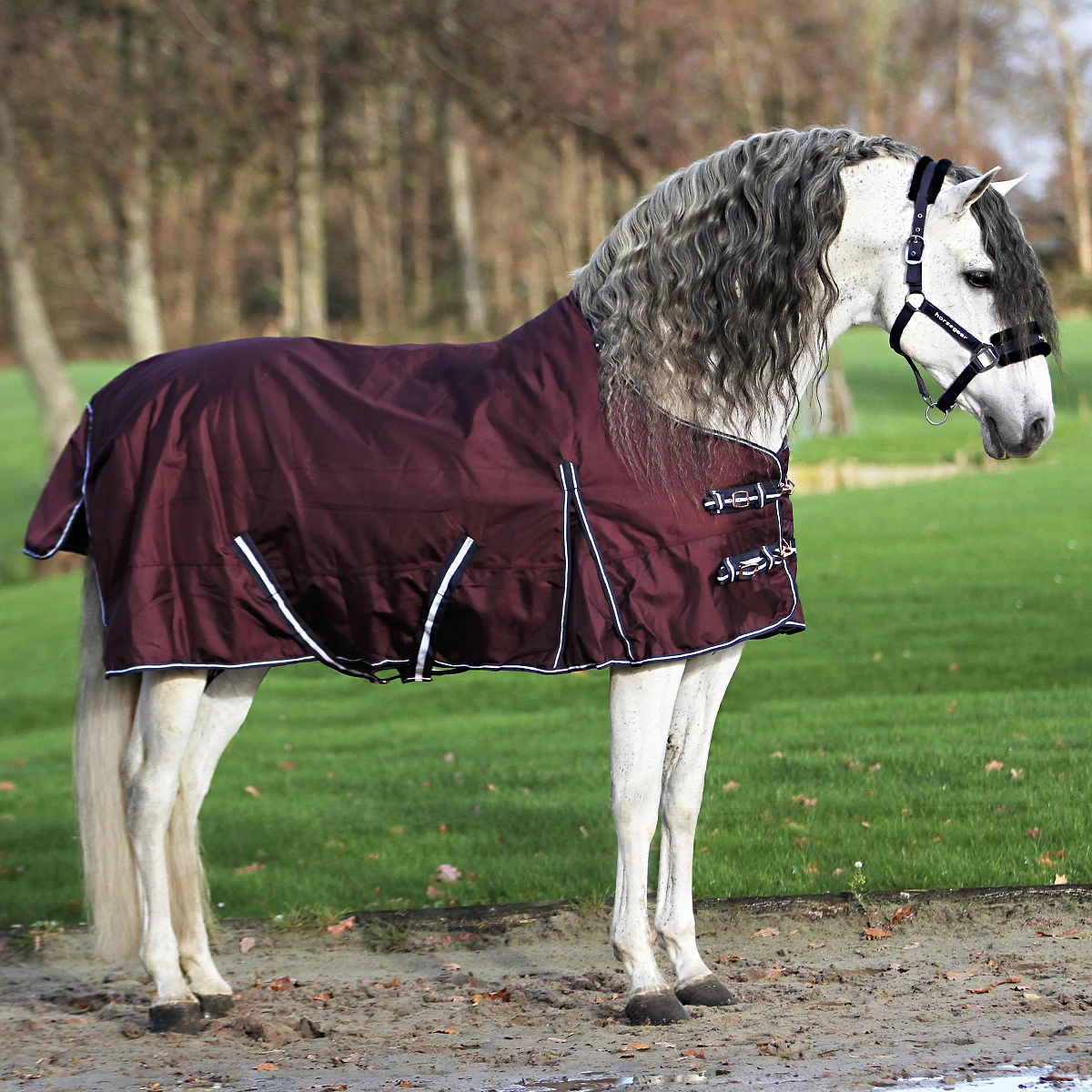 Deken Horsegear Extreme 300gr Paars 3 Deken Horsegear Extreme 300gr Paars - Afbeelding 3