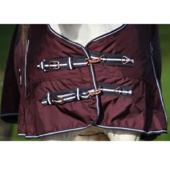 Deken Horsegear Extreme 300gr Paars 10 Deken Horsegear Extreme 300gr Paars -Default Template 3 deken horsegear extreme 300gr paars 1500x1500 125812