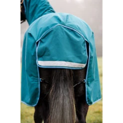 Deken Horseware Amigo Bravo 1200D Plus 100gr Disc Groen 15 Deken Horseware Amigo Bravo 1200D Plus 100gr Disc Groen -Default Template 3 deken horseware amigo bravo 1200d plus 100gr disc groen 1500x1500 164775