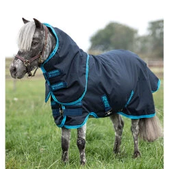 Deken Horseware Amigo Hero 6 Petite Plus 200gr Donkerblauw -Default Template 3 deken horseware amigo hero 6 petite plus 200gr donkerblauw 1500x1500 133561