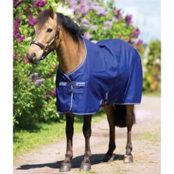 Deken Horseware Amigo Hero 900 Pony 200gr Middenblauw -Default Template 3 deken horseware amigo hero 900 pony 200gr middenblauw 1500x1500 117898