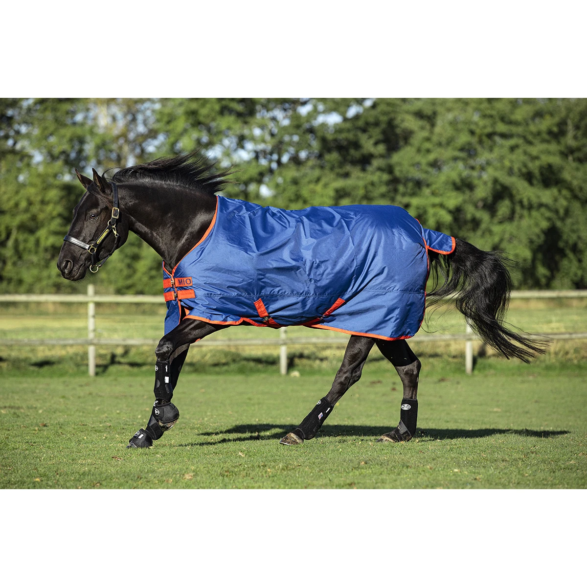 Deken Horseware Mio Turnout Lite 0gr Donkerblauw-rood 4 Deken Horseware Mio Turnout Lite 0gr Donkerblauw-rood - Afbeelding 4