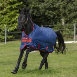 Deken Horseware Mio Turnout Medium 200gr Donkerblauw-rood -Default Template 3 deken horseware mio turnout medium 200gr donkerblauw rood 1500x1500 116283