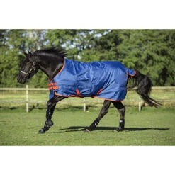 Deken Horseware Mio Turnout Medium 200gr Donkerblauw-rood -Default Template 3 deken horseware mio turnout medium 200gr donkerblauw rood 1500x1500 116284