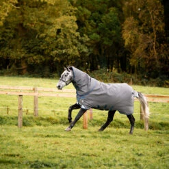 Deken Horseware Rhino Plus Hexstop Vari-Layer 250gr Grijs -Default Template 3 deken horseware rhino plus hexstop vari layer 250gr grijs 1500x1500 168624