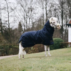 Deken Kentucky All Weather Pro Tiny 0gr Donkerblauw -Default Template 3 deken kentucky all weather pro tiny 0gr donkerblauw 1500x1500 146866