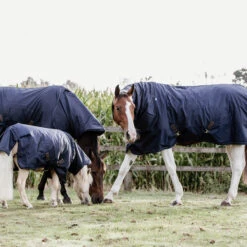 Deken Kentucky All Weather Pro Tiny 0gr Donkerblauw -Default Template 3 deken kentucky all weather pro tiny 0gr donkerblauw 1500x1500 146867