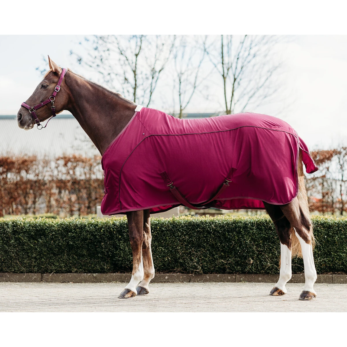 Deken QHP Coolmesh Astana Donkerrood 1 Deken QHP Coolmesh Astana Donkerrood