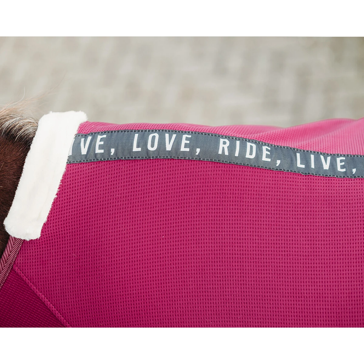 Deken QHP Coolmesh Astana Donkerrood 3 Deken QHP Coolmesh Astana Donkerrood - Afbeelding 3