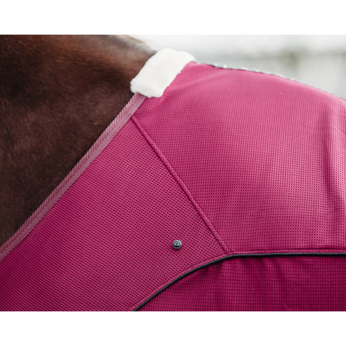 Deken QHP Coolmesh Astana Donkerrood 4 Deken QHP Coolmesh Astana Donkerrood - Afbeelding 4