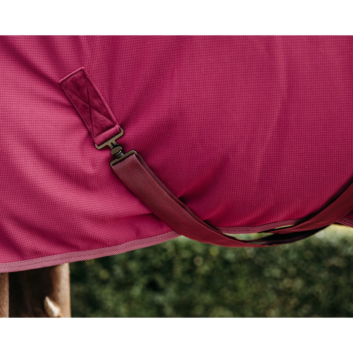 Deken QHP Coolmesh Astana Donkerrood 5 Deken QHP Coolmesh Astana Donkerrood - Afbeelding 5