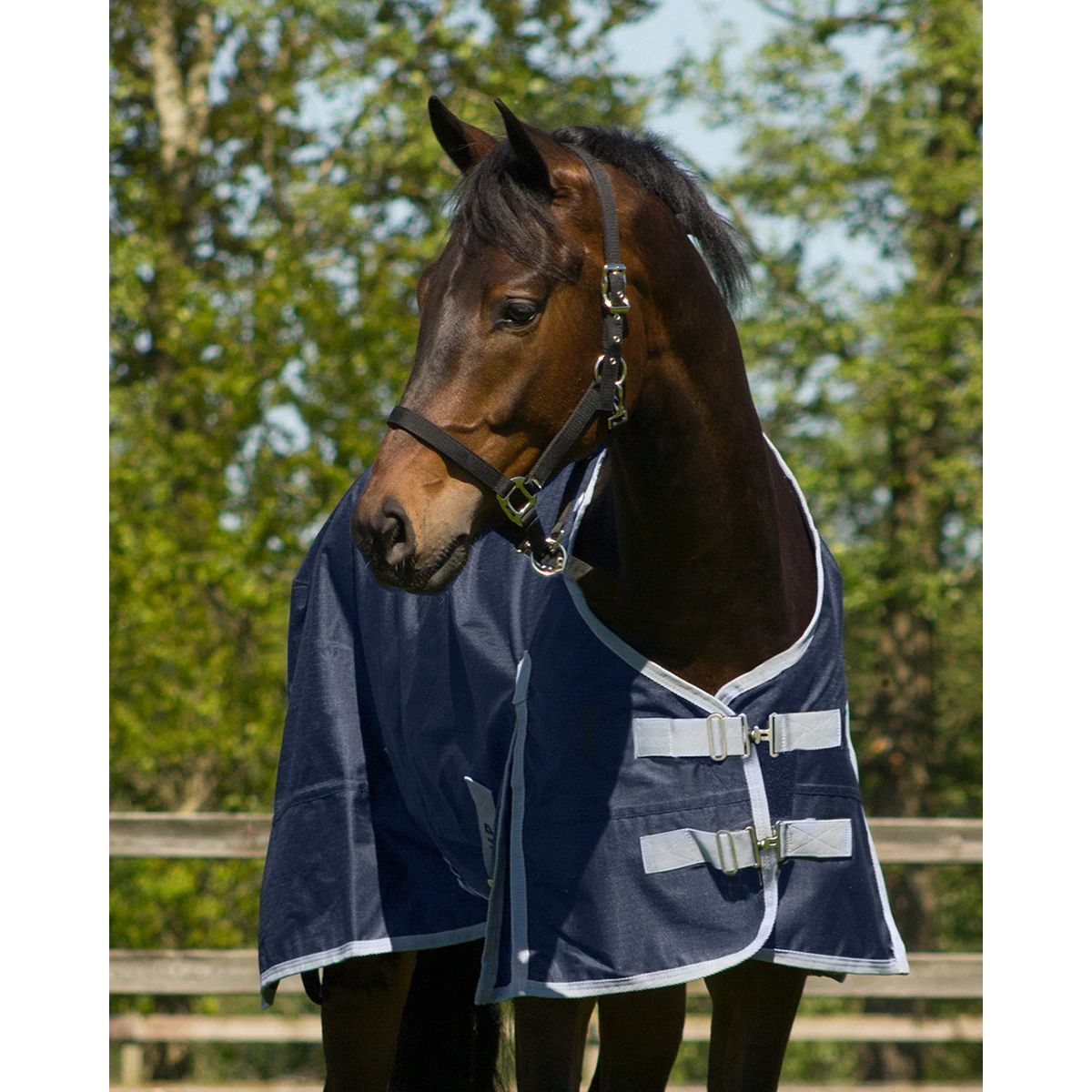 Deken QHP Turnout Fleece 0gr Donkerblauw 2 Deken QHP Turnout Fleece 0gr Donkerblauw - Afbeelding 2