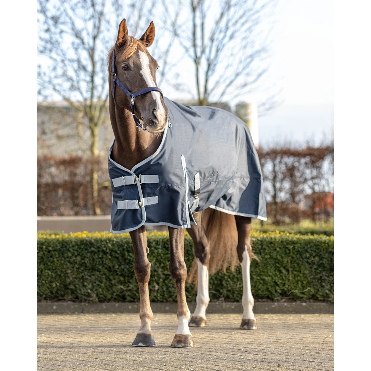 Deken QHP Turnout Fleece 0gr Donkerblauw 5 Deken QHP Turnout Fleece 0gr Donkerblauw - Afbeelding 5