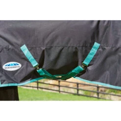 Deken WeatherBeeta Green-Tec 900D Lite Plus 50gr Zwart-groen 14 Deken WeatherBeeta Green-Tec 900D Lite Plus 50gr Zwart-groen -Default Template 3 deken weatherbeeta green tec 900d lite plus 50gr zwart groen 1500x1500 132984