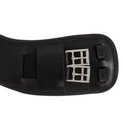 Dressuursingel Acavallo Anatomic Zwart 7 Dressuursingel Acavallo Anatomic Zwart -Default Template 3 dressuursingel acavallo anatomic zwart 1500x1500 183985