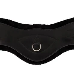 Dressuursingel Anky Zwart -Default Template 3 dressuursingel anky zwart 1500x1500 179968