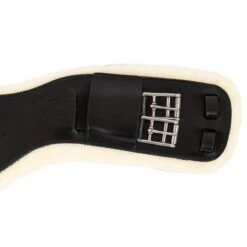 Dressuursingel Anky Zwart -Default Template 3 dressuursingel anky zwart 1500x1500 179971