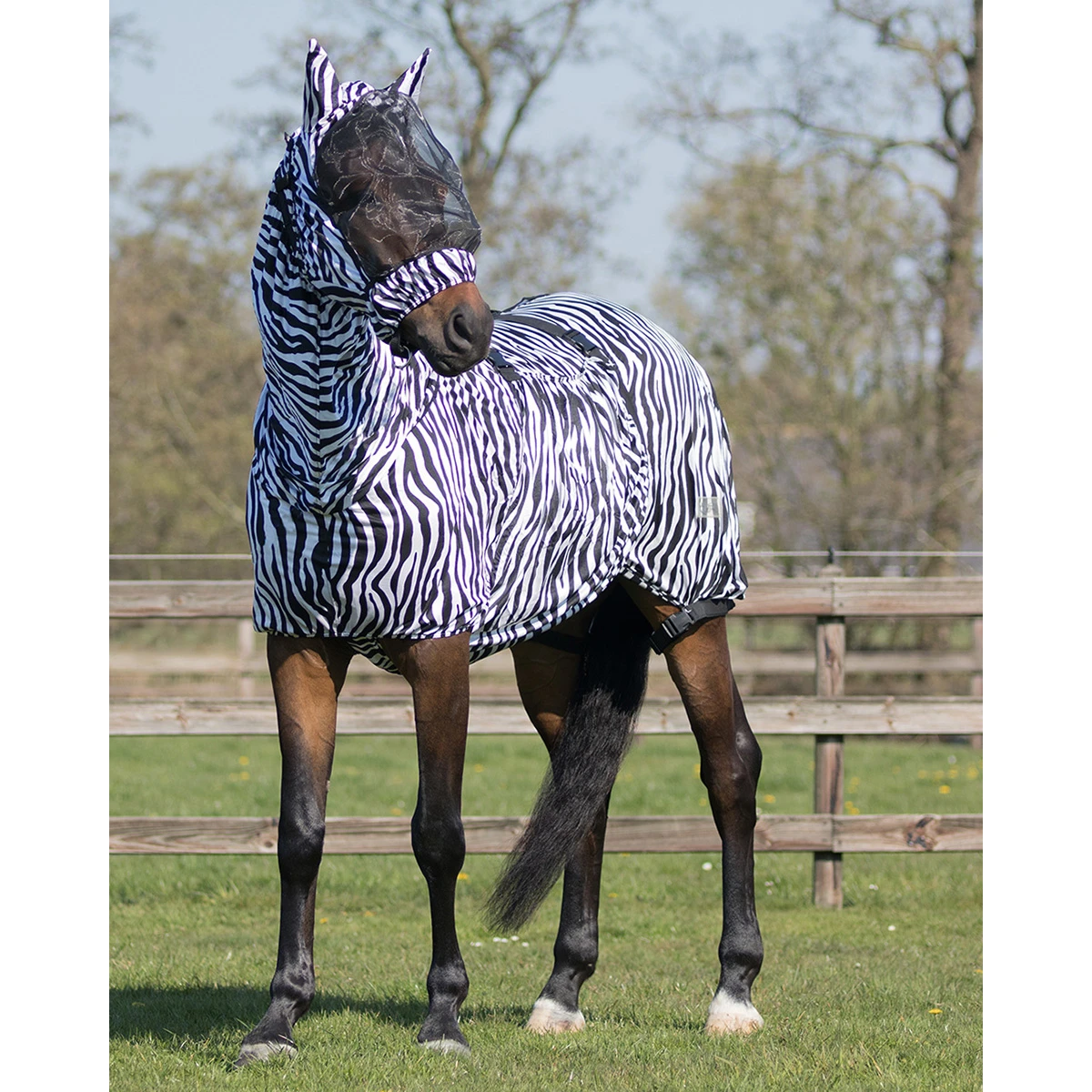 Eczeem Masker QHP Zebra 2 Eczeem Masker QHP Zebra - Afbeelding 2