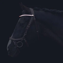 Frontriem PresTeq FaySport Bruin -Default Template 3 frontriem presteq faysport bruin 1500x1500 130582