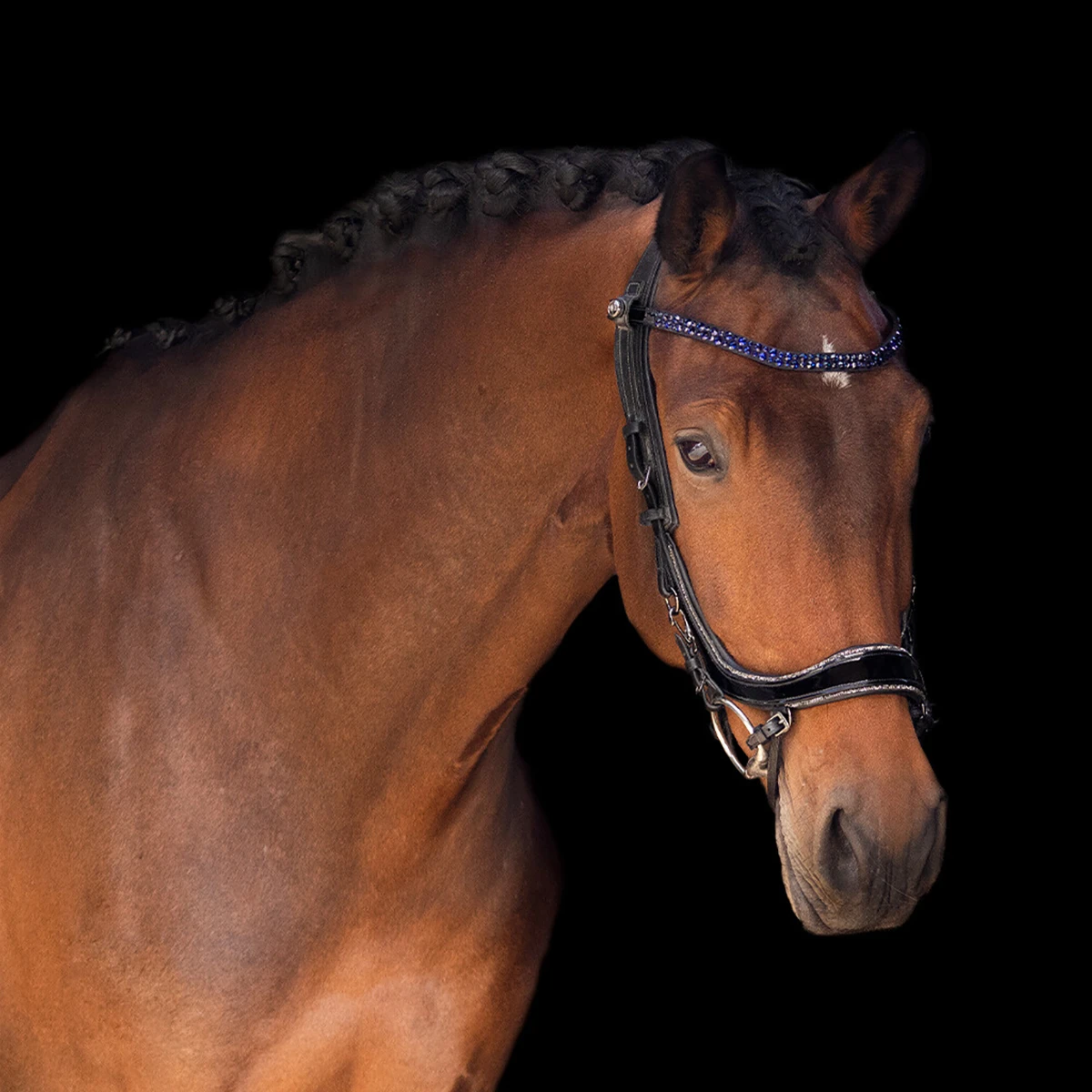 Frontriem PresTeq StarGlow Bruin-lichtblauw 2 Frontriem PresTeq StarGlow Bruin-lichtblauw - Afbeelding 2