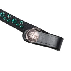 Frontriem QHP Eldorado Zwart-groen -Default Template 3 frontriem qhp eldorado zwart groen 1500x1500 130591