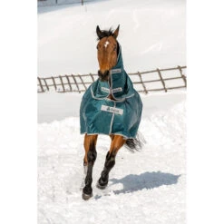 Halsstuk Bucas Atlantic Turnout Combi 300gr Groen -Default Template 3 halsstuk bucas atlantic turnout combi 300gr groen 1500x1500 133197