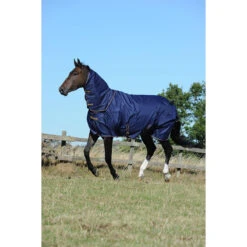 Halsstuk Bucas Irish Turnout Combi 300gr Donkerblauw-goud -Default Template 3 halsstuk bucas irish turnout combi 300gr donkerblauw goud 1500x1500 133321
