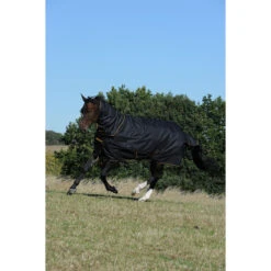 Halsstuk Bucas Irish Turnout Combi 300gr Zwart-goud -Default Template 3 halsstuk bucas irish turnout combi 300gr zwart goud 1500x1500 133318