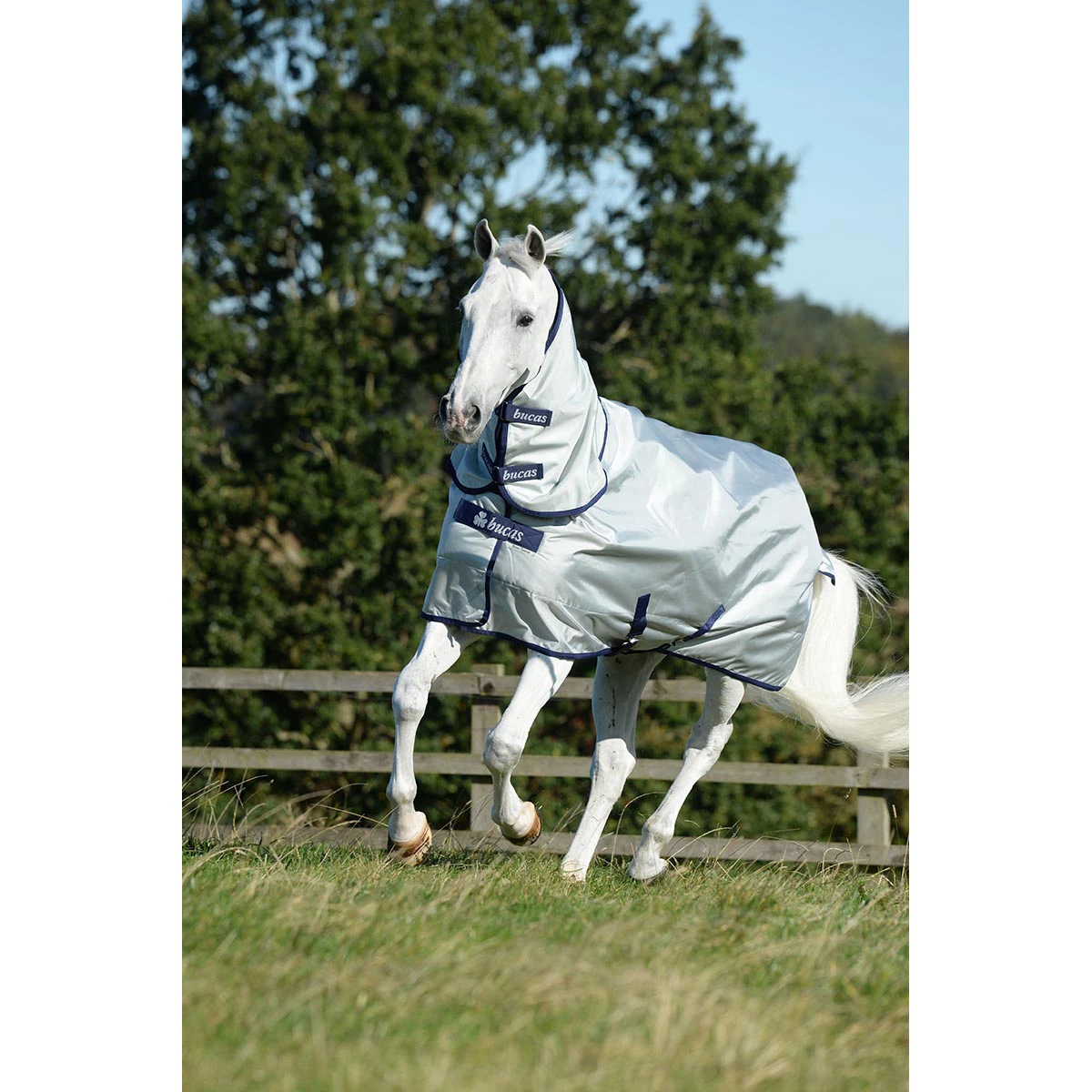 Halsstuk Bucas Power Turnout Combi 300gr Zilver 2 Halsstuk Bucas Power Turnout Combi 300gr Zilver - Afbeelding 2