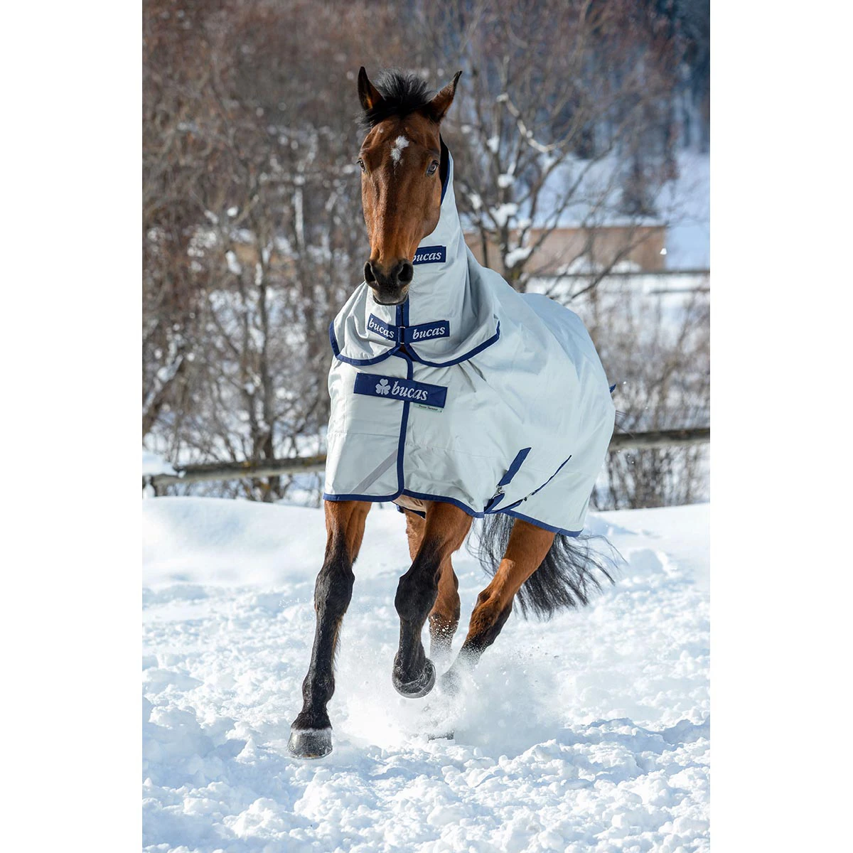 Halsstuk Bucas Power Turnout Combi 300gr Zilver 4 Halsstuk Bucas Power Turnout Combi 300gr Zilver - Afbeelding 4