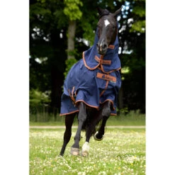 Halsstuk Bucas X-Range Silk-Feel Donkerblauw -Default Template 3 halsstuk bucas x range silk feel donkerblauw 1500x1500 180694