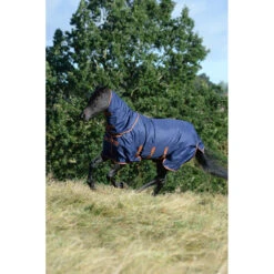 Halsstuk Bucas X-Range Silk-Feel Donkerblauw -Default Template 3 halsstuk bucas x range silk feel donkerblauw 1500x1500 180695