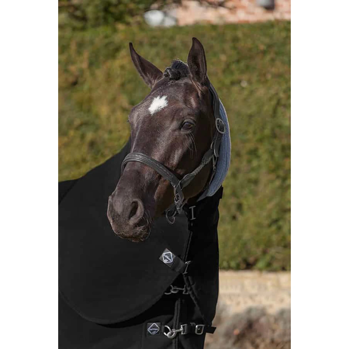 Halsstuk LeMieux Four Seasons Zwart 2 Halsstuk LeMieux Four Seasons Zwart - Afbeelding 2