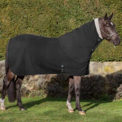 Halsstuk LeMieux Four Seasons Zwart 5 Halsstuk LeMieux Four Seasons Zwart -Default Template 3 halsstuk lemieux four seasons zwart 1500x1500 145828