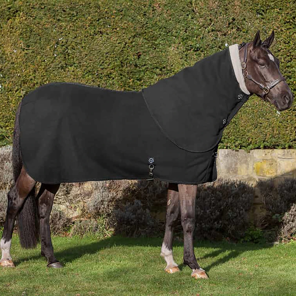 Halsstuk LeMieux Four Seasons Zwart 3 Halsstuk LeMieux Four Seasons Zwart - Afbeelding 3