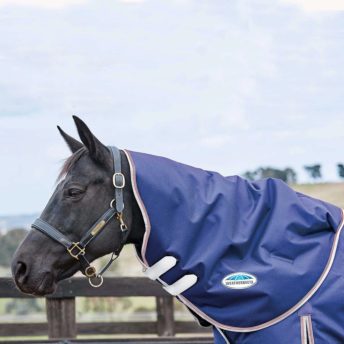 Halsstuk WeatherBeeta ComFiTec Essential Medium 220gr Donkerblauw-zilver 1 Halsstuk WeatherBeeta ComFiTec Essential Medium 220gr Donkerblauw-zilver