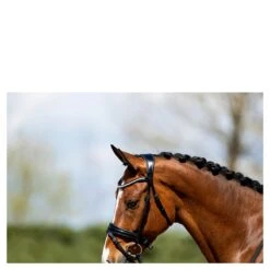 Hoofdstel Anky ATH20005 Zwart -Default Template 3 hoofdstel anky ath20005 zwart 1500x1500 182908