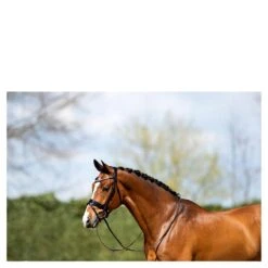 Hoofdstel Anky ATH20005 Zwart -Default Template 3 hoofdstel anky ath20005 zwart 1500x1500 182910