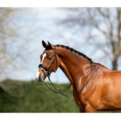 Hoofdstel Anky Comfort Fit Combined Black-black -Default Template 3 hoofdstel anky comfort fit combined black black 1500x1500 173340