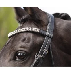 Hoofdstel Anky Comfort Fit Combined Black-black -Default Template 3 hoofdstel anky comfort fit combined black black 1500x1500 173342