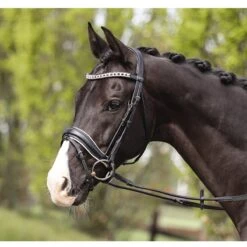 Hoofdstel Anky Comfort Fit Combined Zwart-wit -Default Template 3 hoofdstel anky comfort fit combined zwart wit 1500x1500 173345