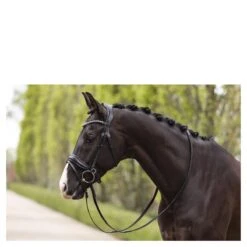 Hoofdstel Anky Comfort Fit Pullback Noseband Zwart -Default Template 3 hoofdstel anky comfort fit pullback noseband zwart 1500x1500 182899
