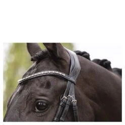 Hoofdstel Anky Comfort Fit Pullback Noseband Zwart -Default Template 3 hoofdstel anky comfort fit pullback noseband zwart 1500x1500 182900