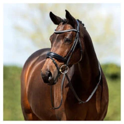 Hoofdstel Anky Zwart -Default Template 3 hoofdstel anky zwart 1500x1500 151111