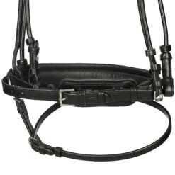 Hoofdstel Dy'on DRC Mat Black-black 8 Hoofdstel Dy'on DRC Mat Black-black -Default Template 3 hoofdstel dy on drc mat black black 1500x1500 101404