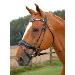 Hoofdstel Dy'on DRC Mat Black-black 9 Hoofdstel Dy'on DRC Mat Black-black -Default Template 3 hoofdstel dy on drc mat black black 1500x1500 101405